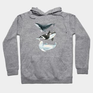 Sea love Hoodie